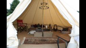 Home Farm Glamping Camping and Caravan Site Bell Tent 1